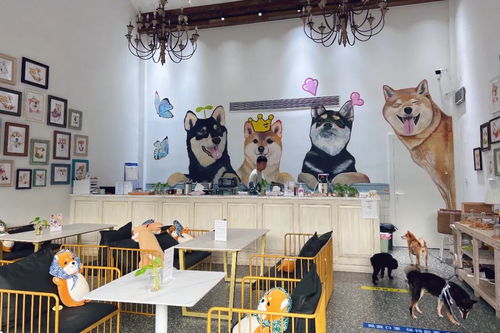 身邊的美學(xué)空間 蘇州這幾處公共文化體驗(yàn)空間，文藝小資且充滿藝術(shù)靈感